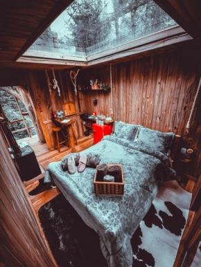 Cabana da Árvore - ForestPlace